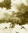 Bombardement de la Frontière Rouille